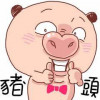 朱董玩運彩