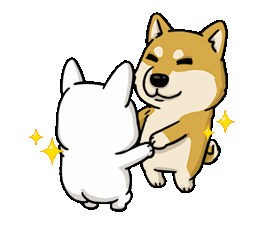 >> 11/5 滋贺湖星 vs 爱信三河海马