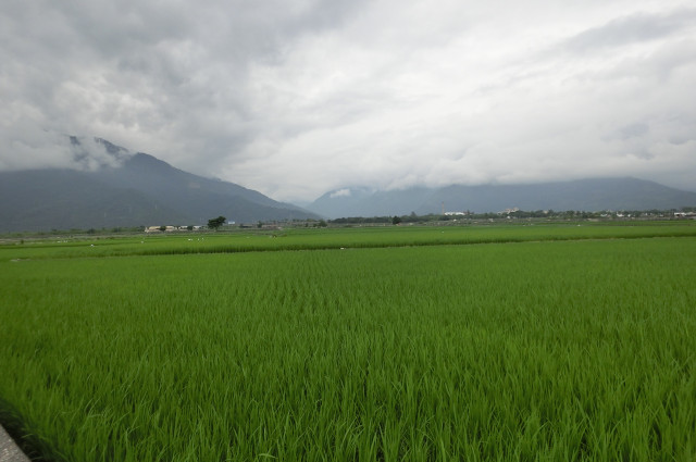 足球 赛事编号:680 大阪飞脚 VS 阿德莱德联 -