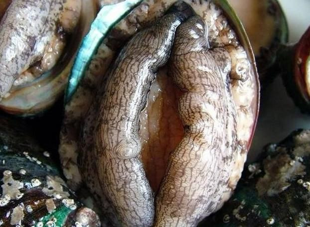 >> [瑀希]这支下五万~,过了明天买香奈儿